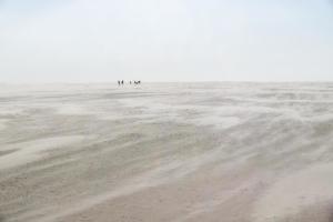 Schiermonnikoog - leeg strand - zand - harde wind -silhouetten